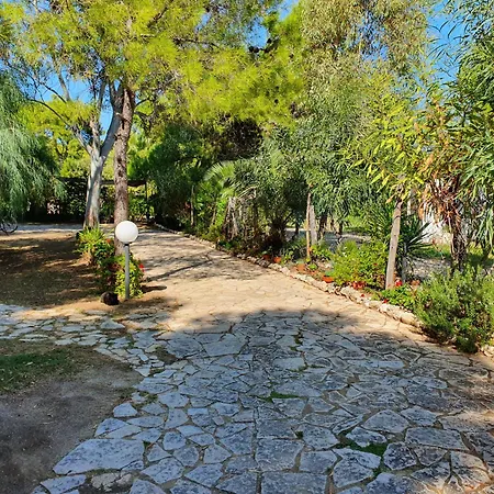 Polidoro