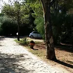 Polidoro Vieste