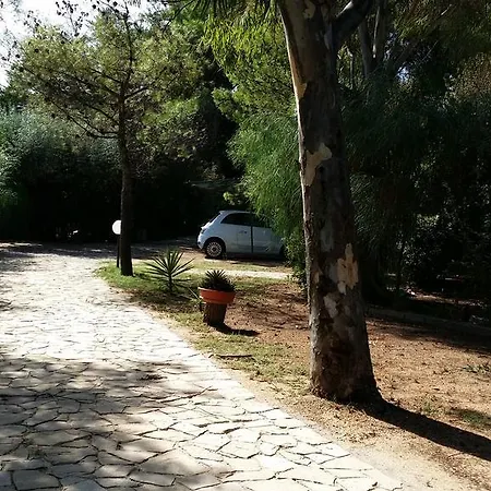 Polidoro Vieste