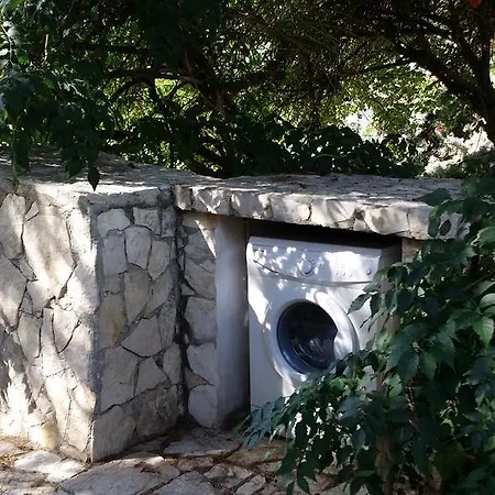Polidoro